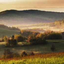 Obrazek: Odkryj Beskid Niski jesienią. Rykowiska, dzika natura i tajemnicze ścieżki