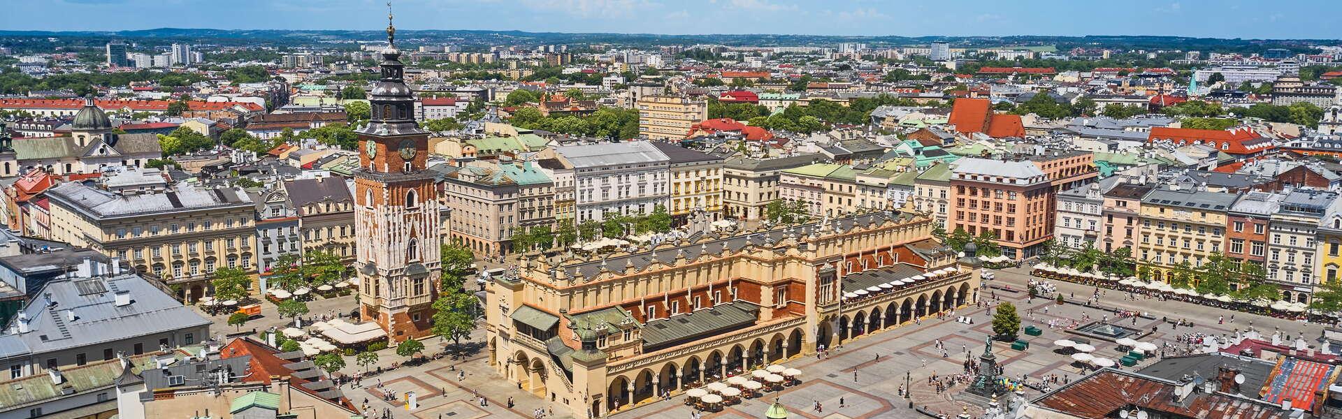 Wawel Hill from the bird's eye view.