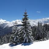 Image: Trasy biegowe Trasy Zachodnie Biały Potok Zakopane