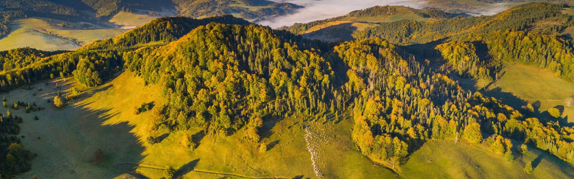 Widok na górskie szczyty Pienin.